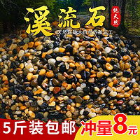 畫(huà)法幾何造景裝飾 畫(huà)法幾何 南美風(fēng)枯木造景多少錢(qián)