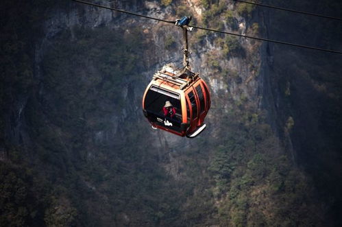張家界擠滿韓國人，真相揭示 砂石畫的魅力